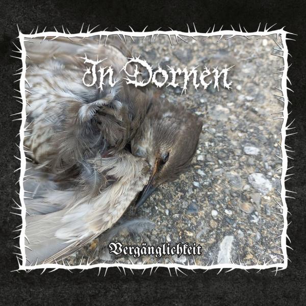 In Dornen - Vergänglichkeit DigiPak